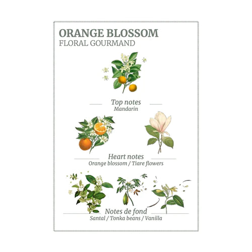 Orange Blossom Hand Cream - 75ml